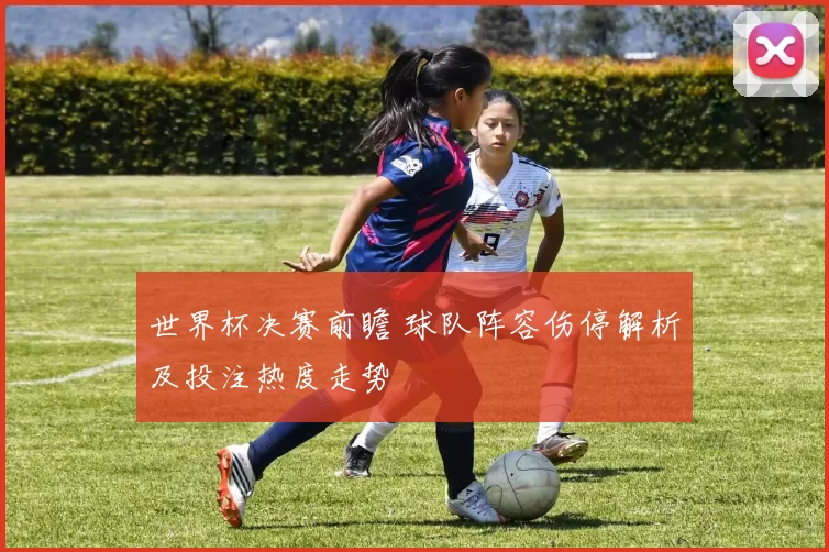 世界杯决赛前瞻 球队阵容伤停解析及投注热度走势
