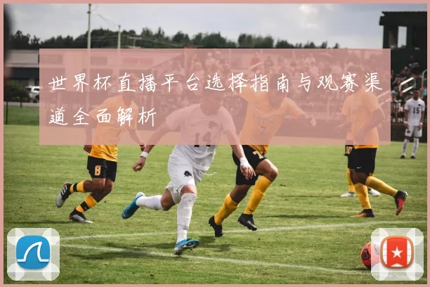 世界杯直播平台选择指南与观赛渠道全面解析