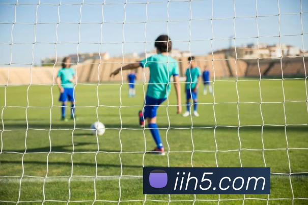 星空体育登录网址首页发展历程